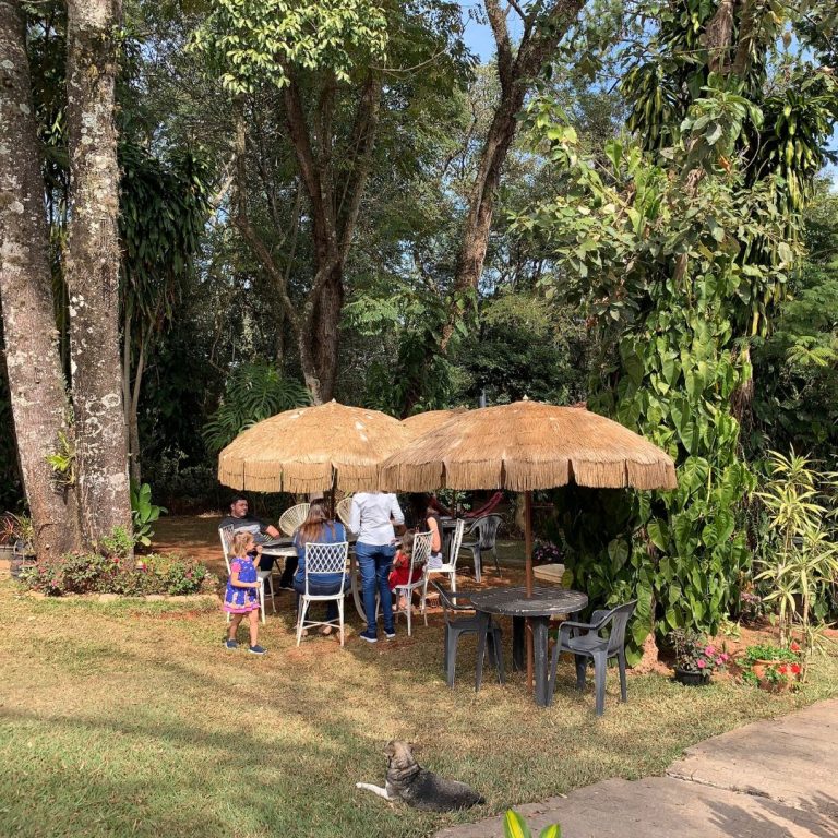 restaurante vegetariano